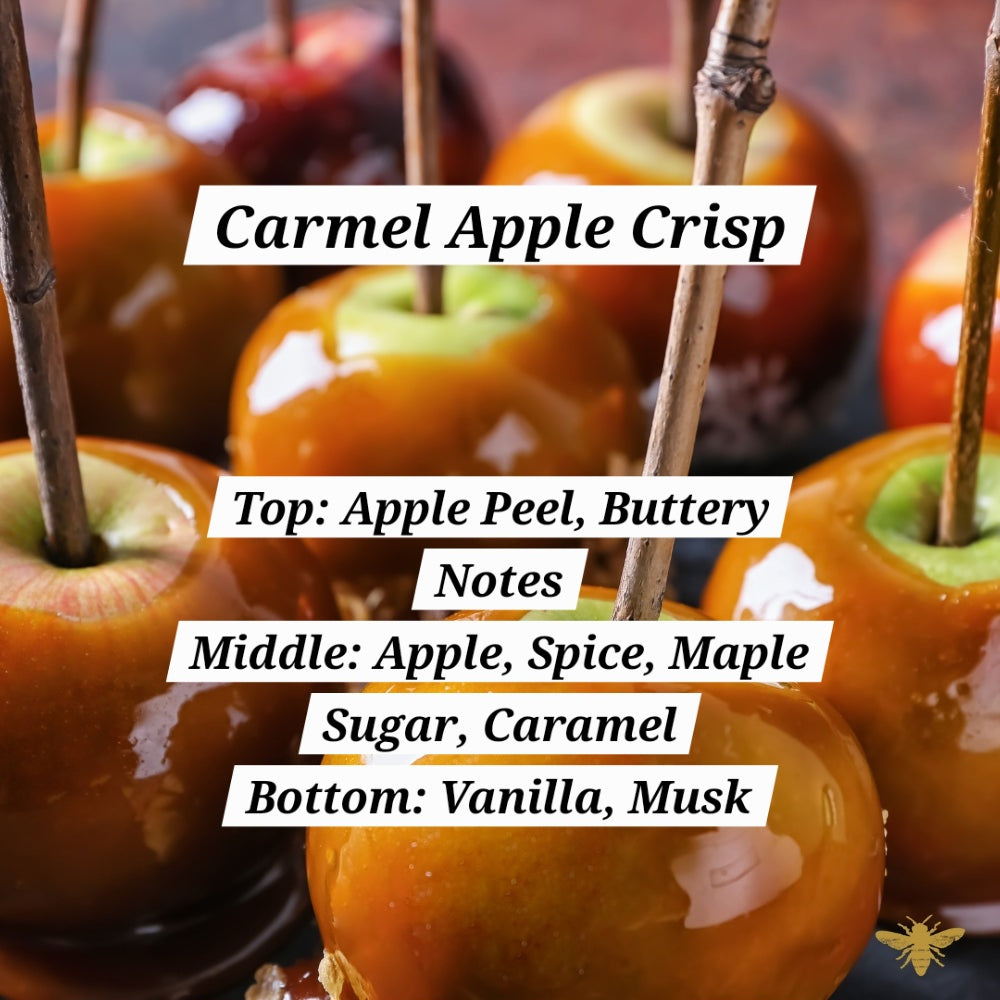 16 oz Mason Jar Candle ~ Carmel Apple Crisp